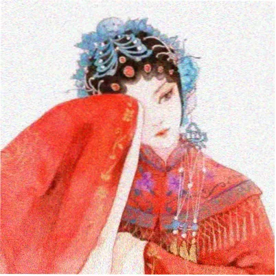 胶片收藏家的头像